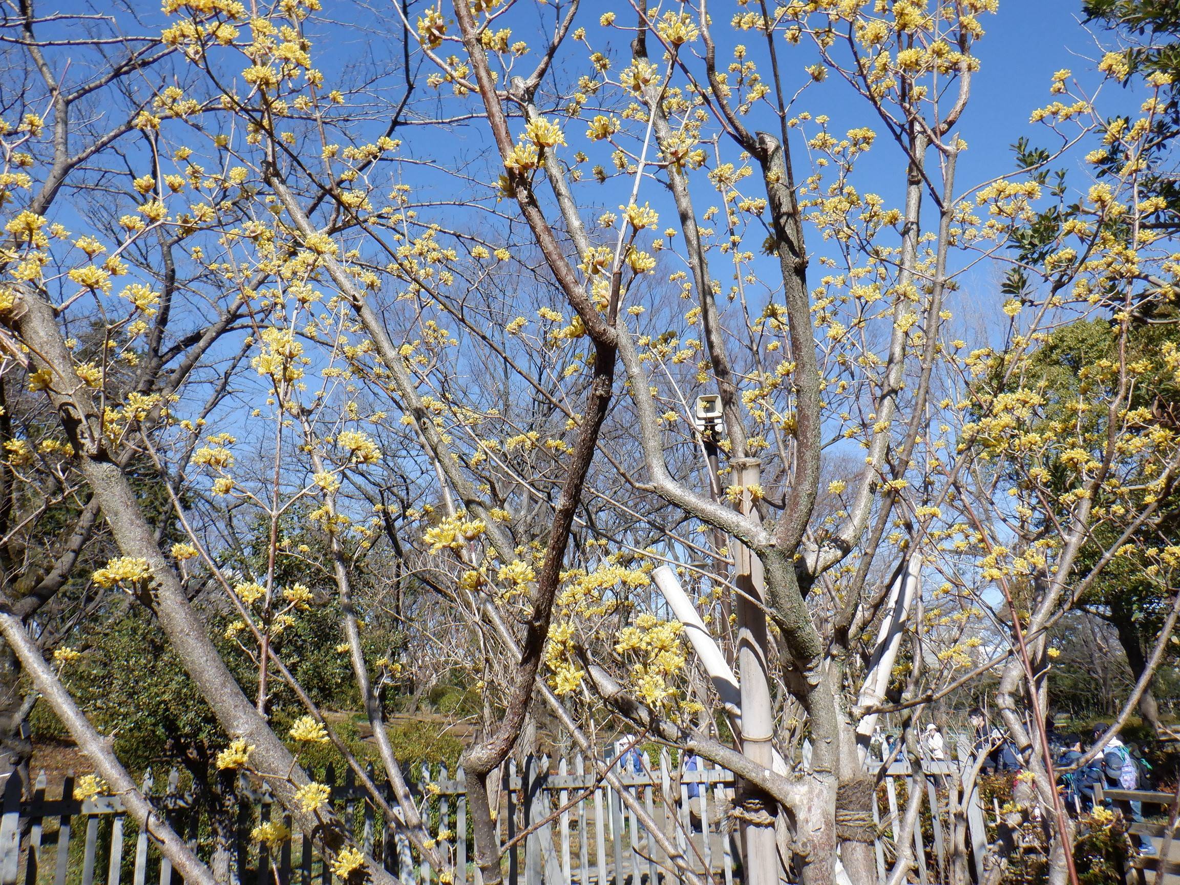 DSCF4368.jpg