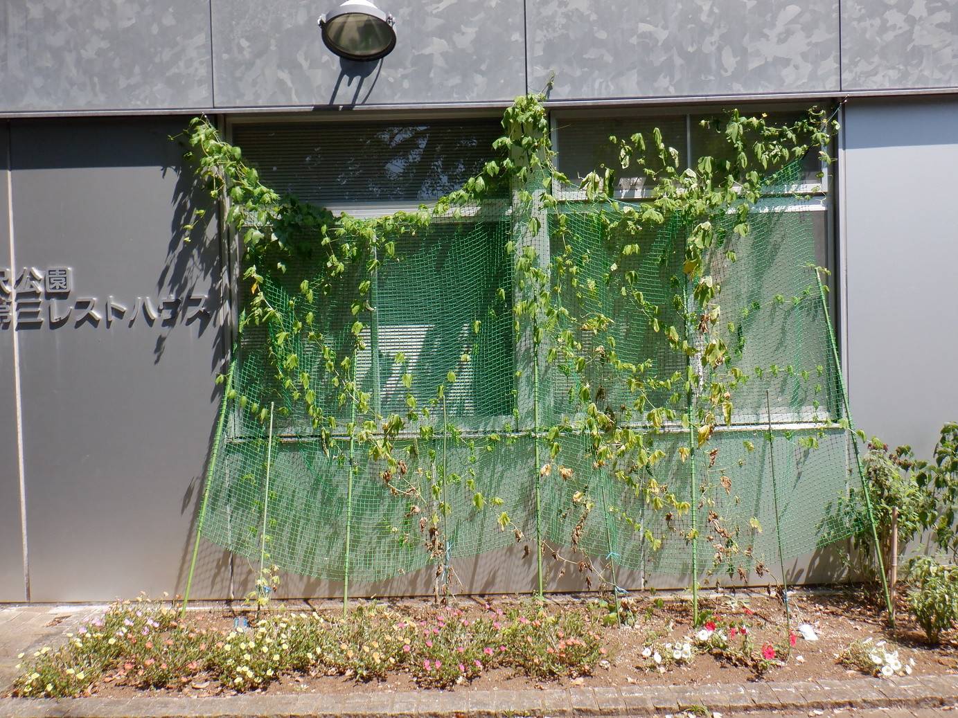 DSCF5848 - 第三レストハウス ブログ.jpg