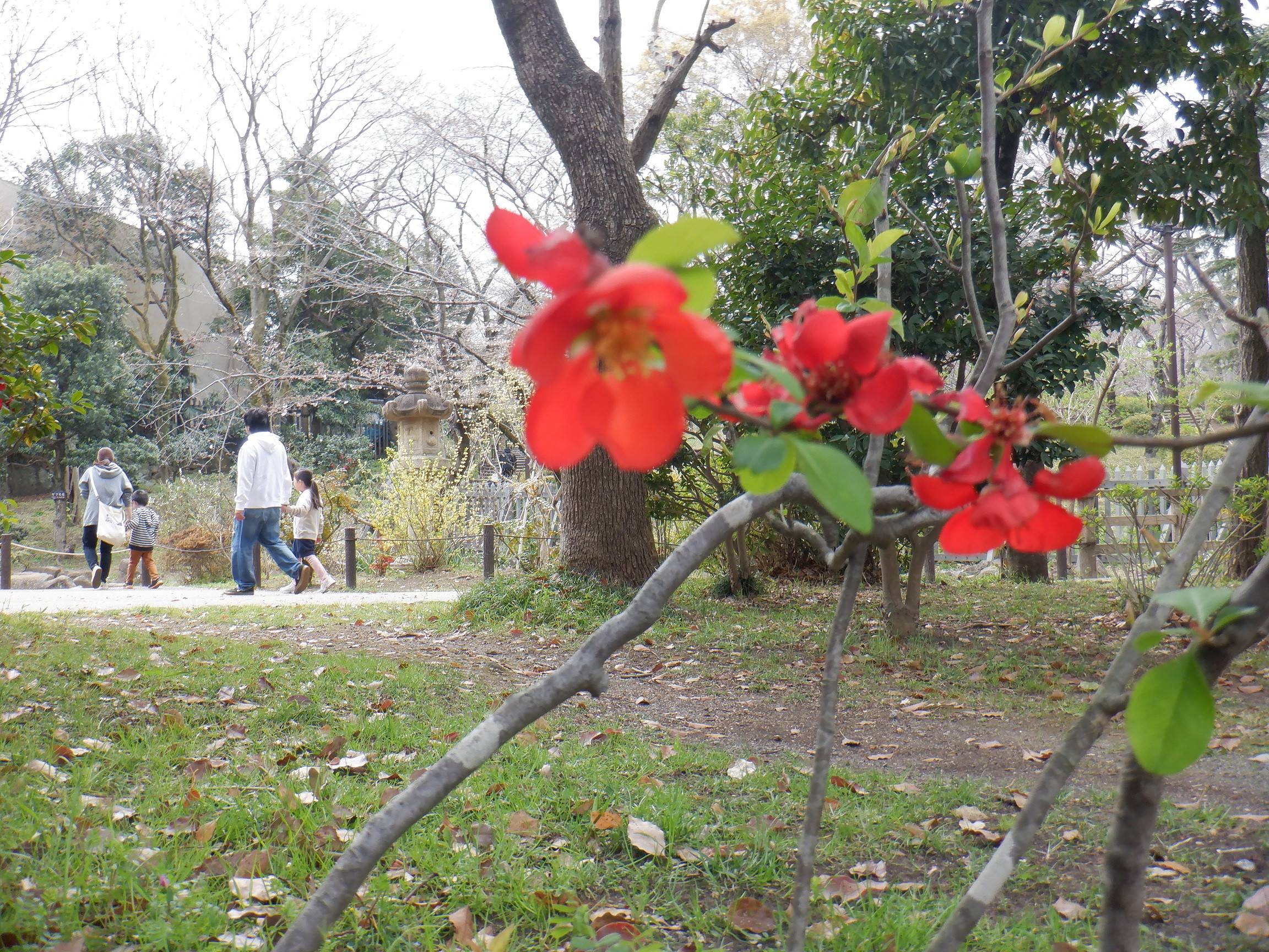 DSCF4726.jpg
