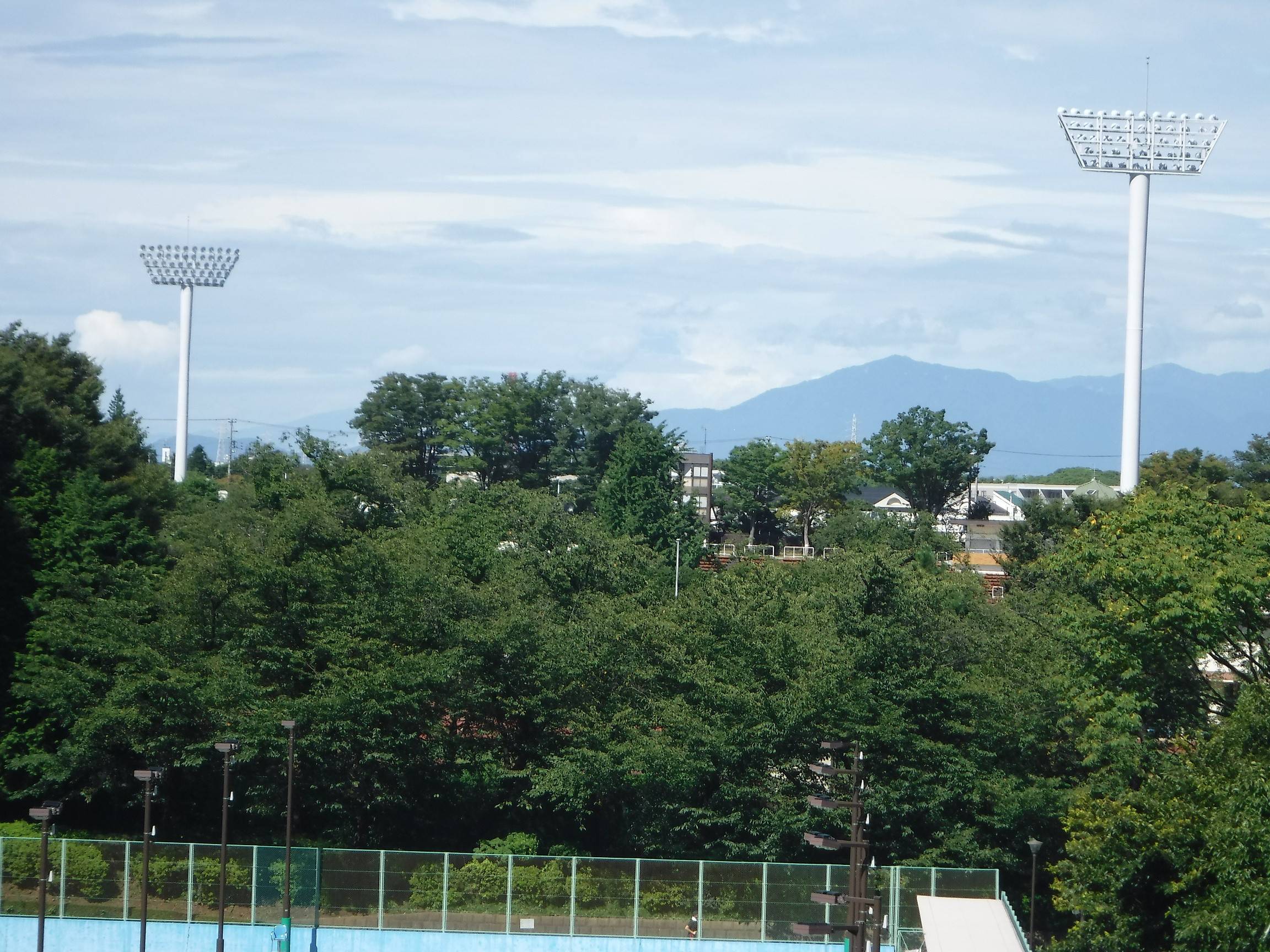 DSCF5964 - コピー.jpg