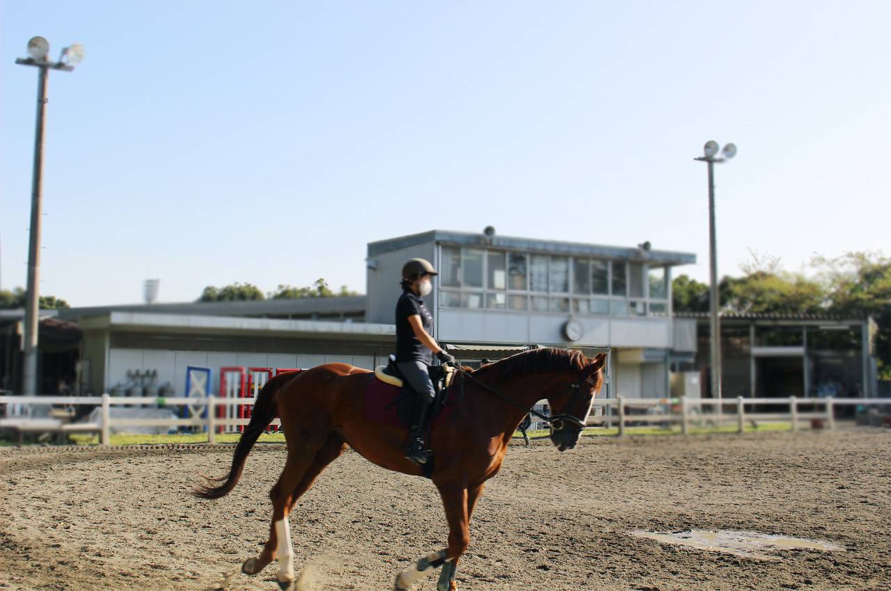 三ツ沢公園_馬術練習場3.jpg