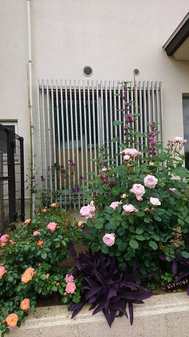 第2レスト車庫裏 .jpg