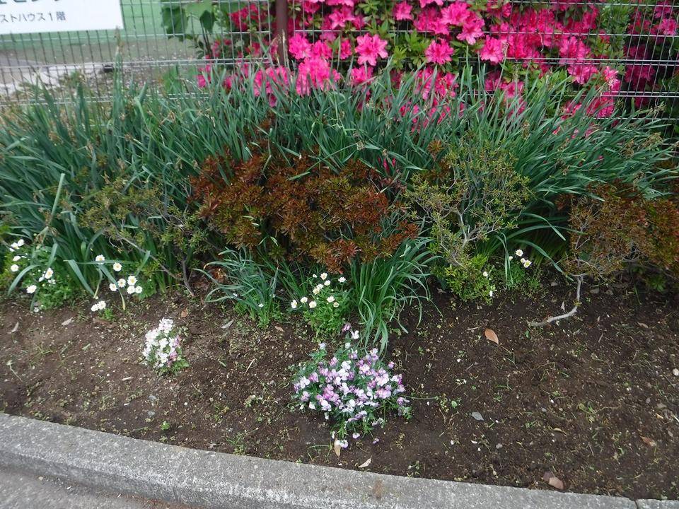 DSCF6827.jpg