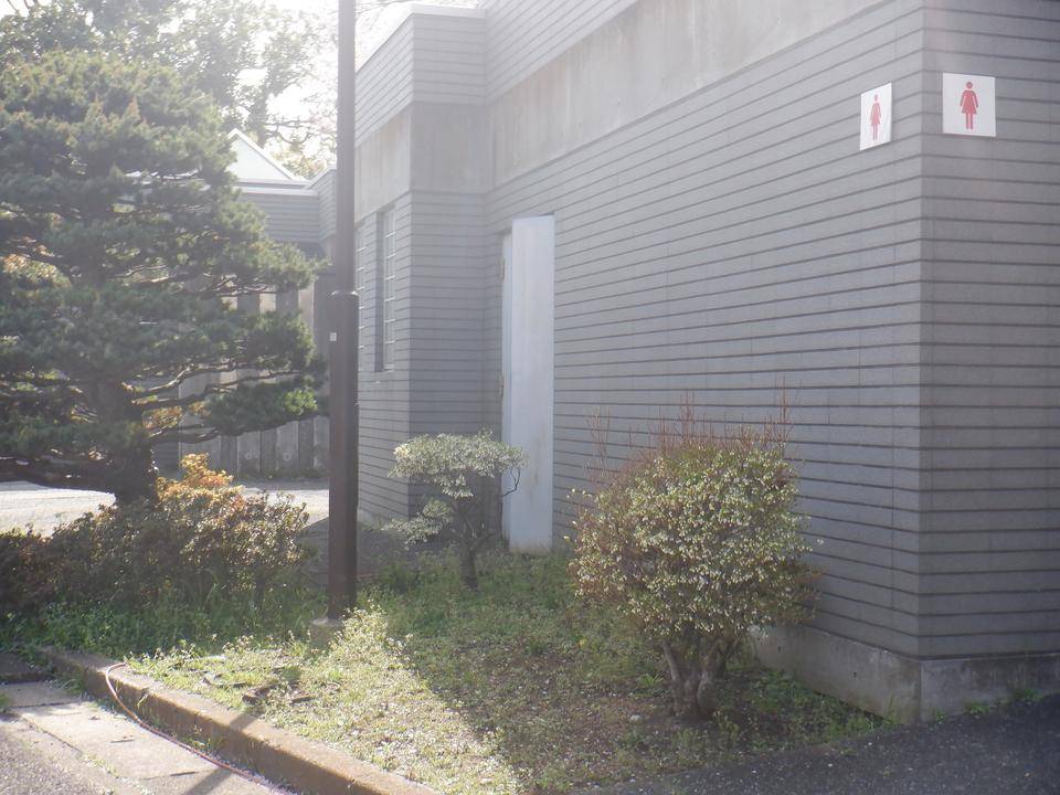 平沼トイレ花1.jpg
