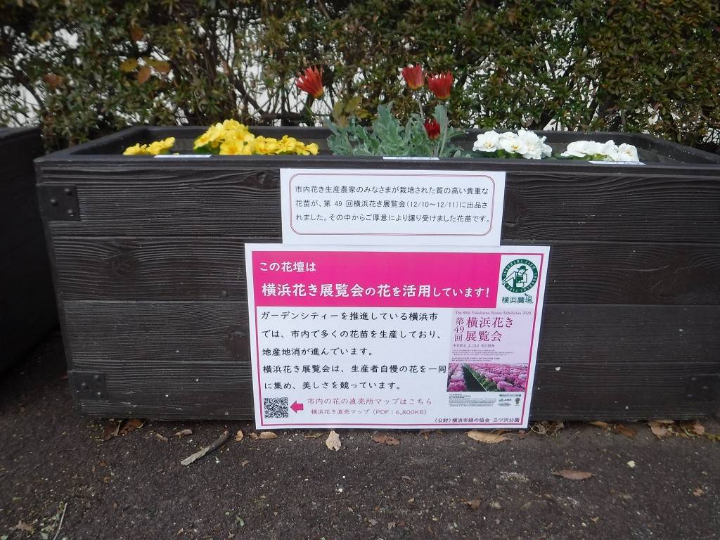 横浜花き展覧会の出品のお花です ブログ 三ツ沢公園公式サイト 公益財団法人 横浜市緑の協会 横浜花き展覧会の出品のお花です ブログ 三ツ沢公園公式サイト 公益財団法人 横浜市緑の協会