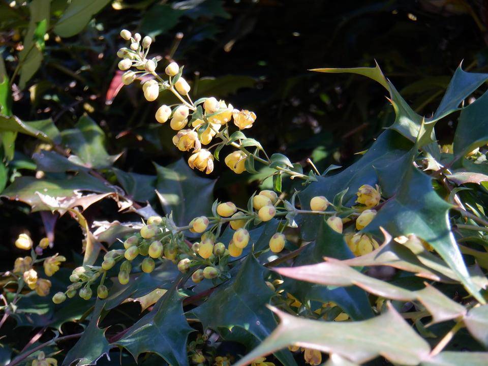 DSCF4365.jpg