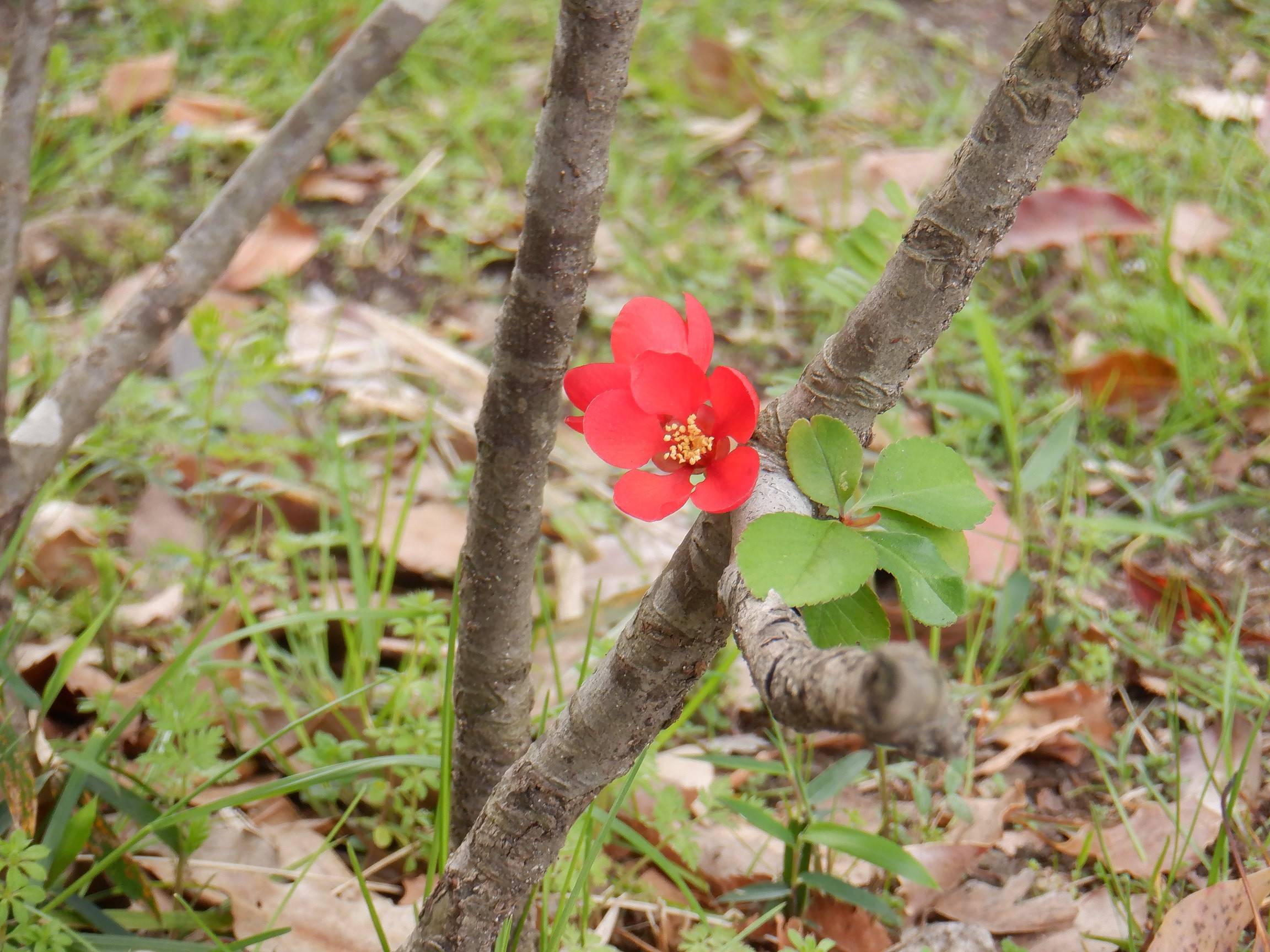 DSCF4727.jpg