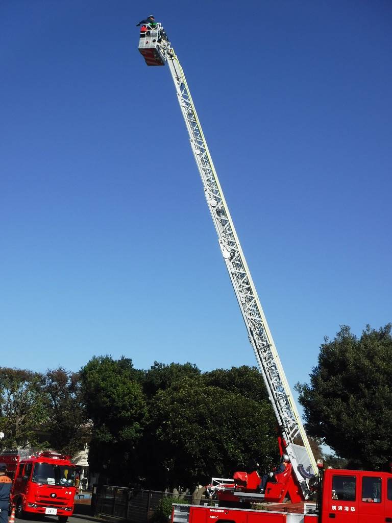 DSCF6330.jpg