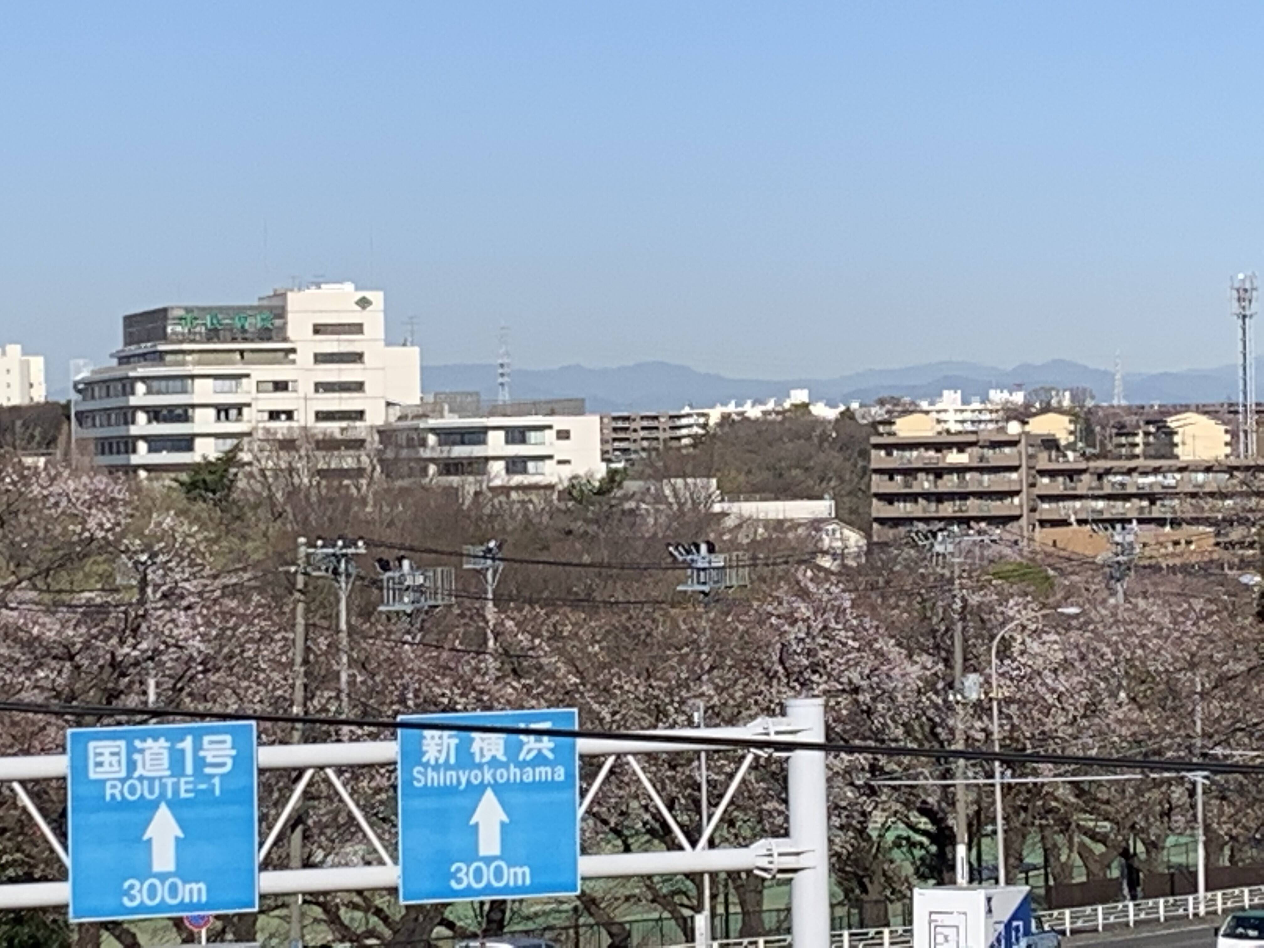 三ッ沢公園周辺からの富士山です 3月25日 ブログ 三ツ沢公園公式サイト 公益財団法人 横浜市緑の協会