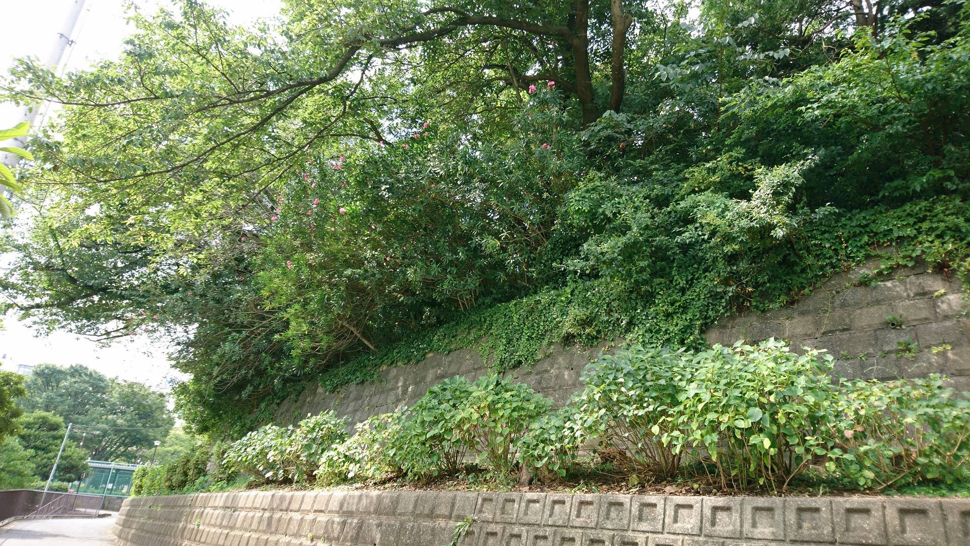 DSC_0175 - ブログ.jpg