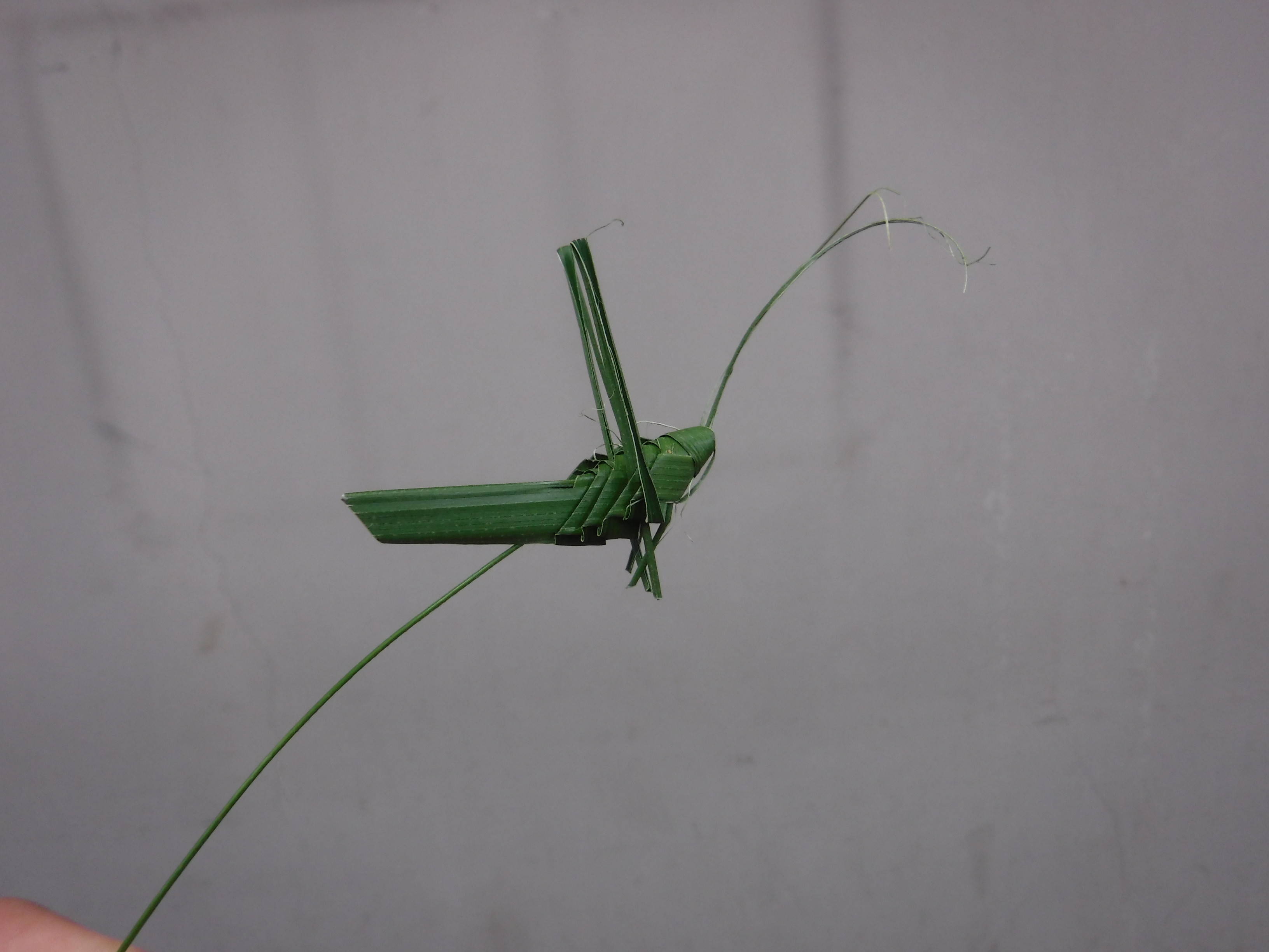 DSCF1113.jpg