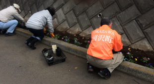 花壇の植付け（第３弾）をしました！