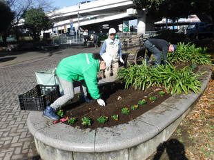 花壇の植付け（第2弾）をしました！