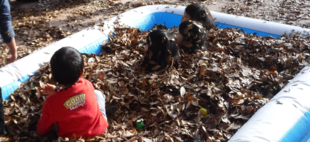 ふかふかの落葉プール大好評！