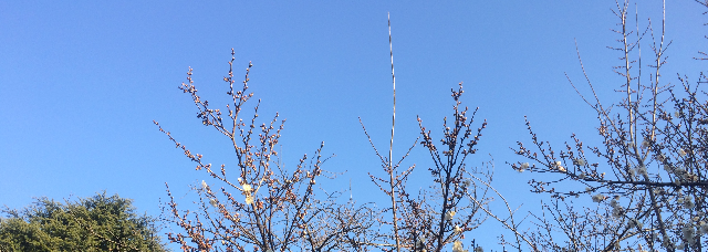今年もよろしくお願い申し上げますの写真