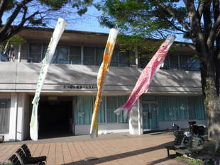 こいのぼり飾りました！