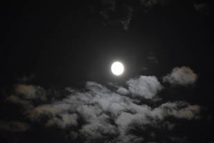 ☆月見ヨーガを開催しました!