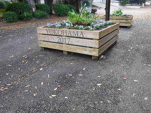 主園路にあるプランターの花苗を植え替えました。