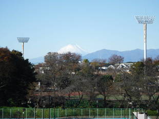 三ツ沢公園からの富士山