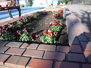 第一レストハウス前にあるレンガ花壇です。