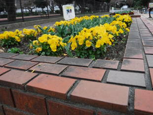 第一レストハウス前にあるレンガ花壇です
