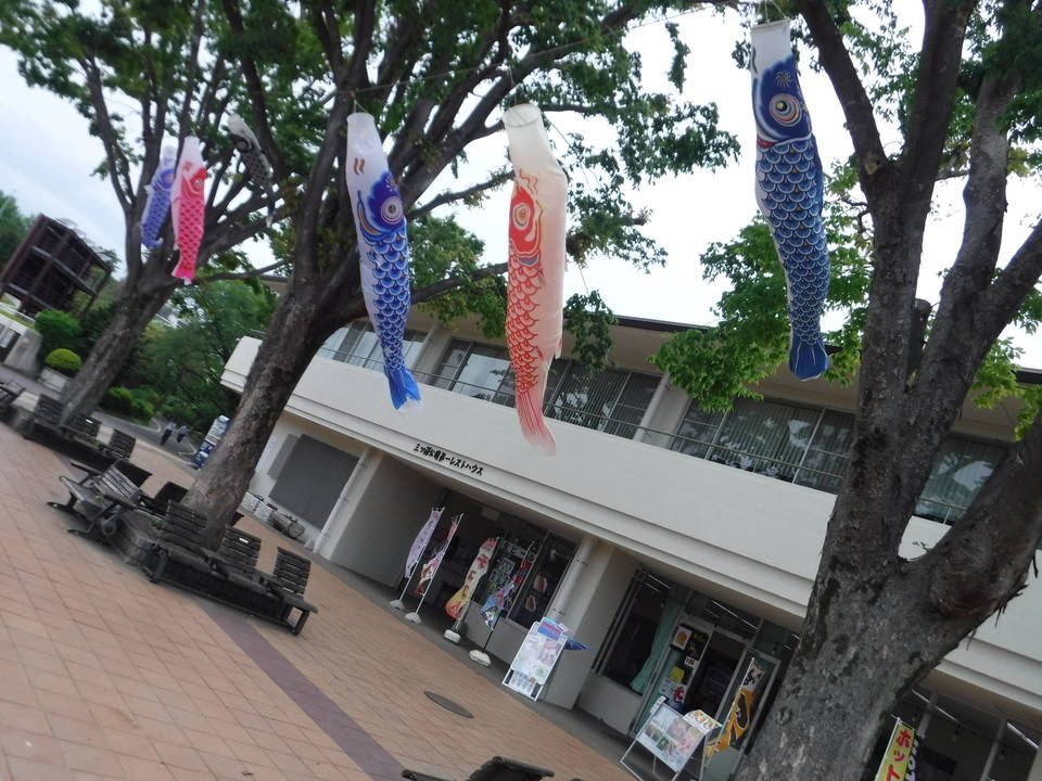 こいのぼりを取り付けました。の写真