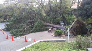 台風24号の爪痕