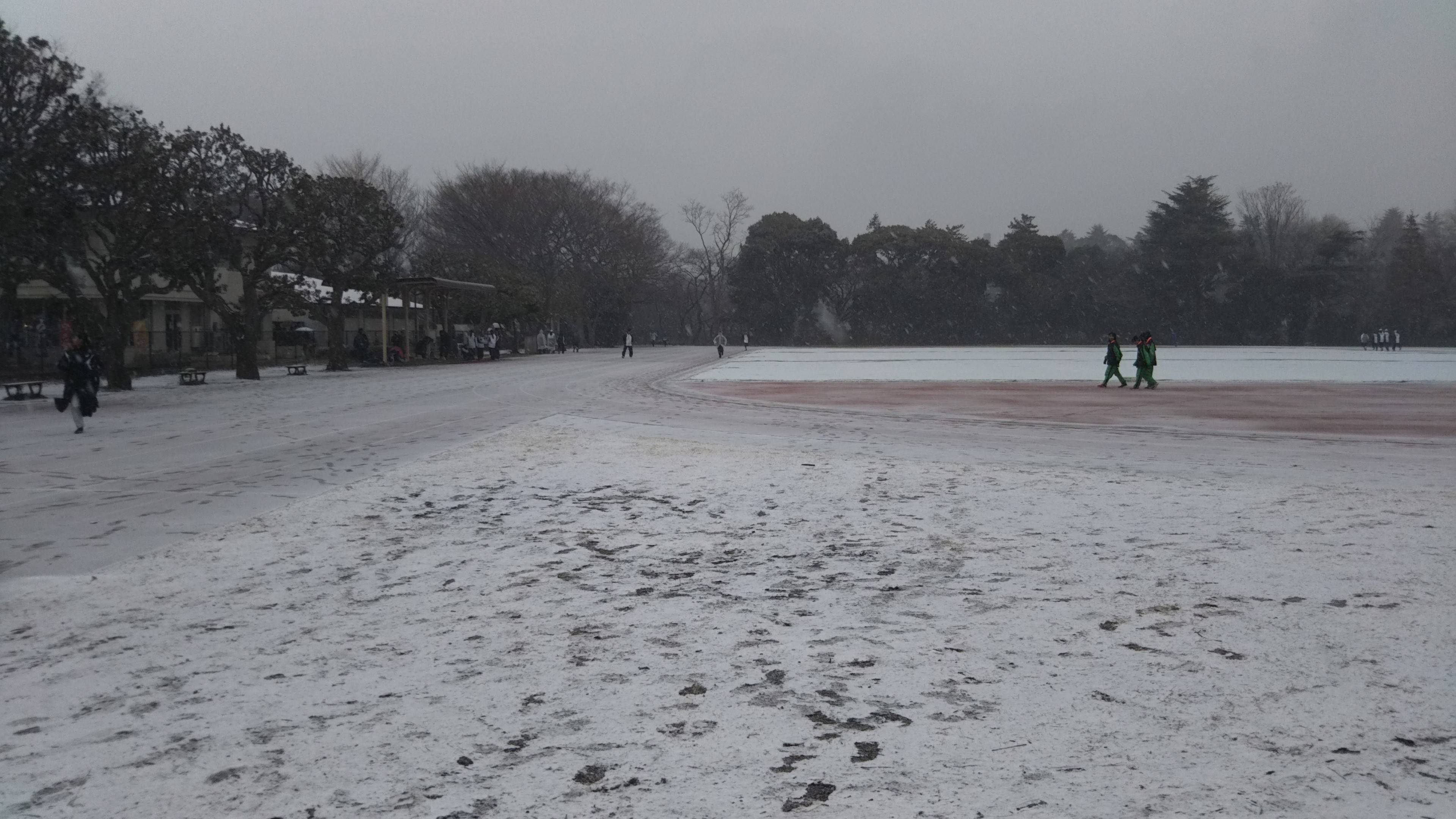 雪化粧の写真