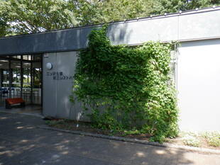 第三レストハウスのゴーヤです