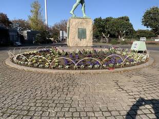 市民の皆様にご協力いただき、平沼像花壇や主園路のプランター等に花苗を植えました