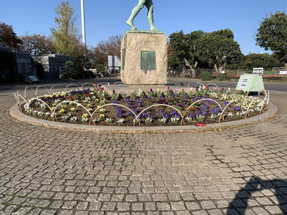 市民の皆様にご協力いただき、平沼像花壇や主園路のプランター等に花苗を植えましたの写真