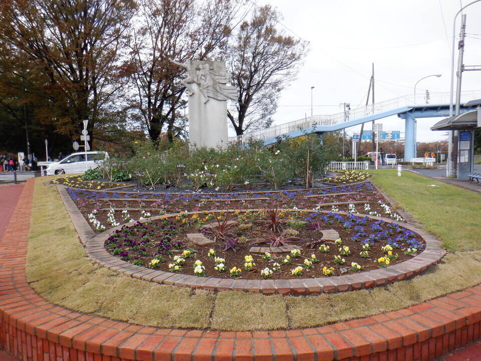 ロータリー花壇に花苗を植え替えました。の写真
