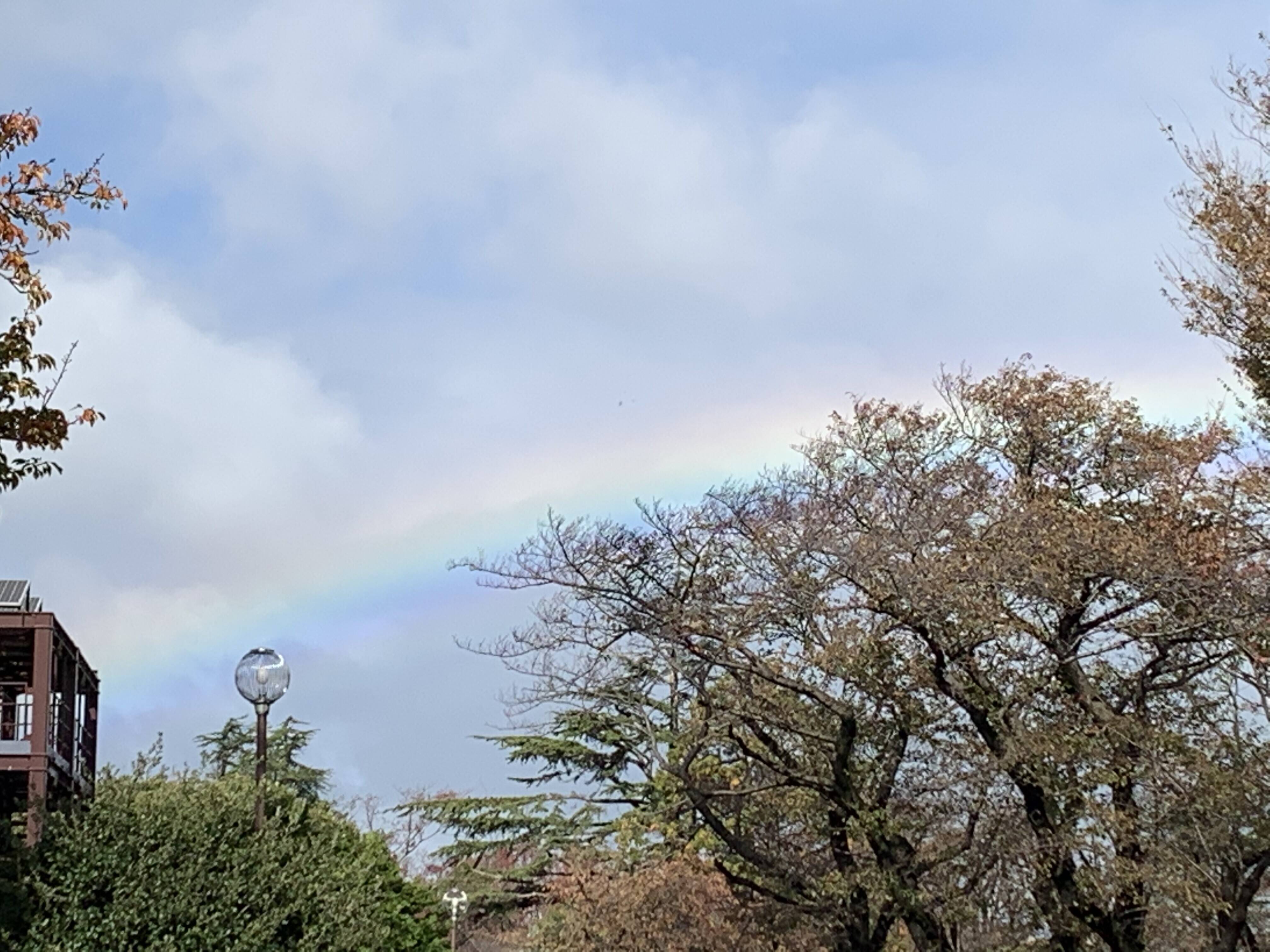 虹が出ました。の写真