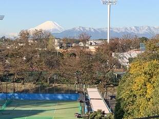 三ツ沢公園周辺からの富士山です