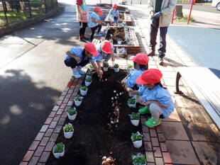 三ツ沢幼稚園 園児の皆様にご協力をいただき、第一レストハウス前のレンガ花壇に花苗を植えました