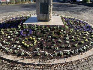 平沼像花壇の花苗は五輪とハート型に植えました