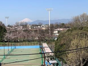 三ッ沢公園周辺からの富士山です(3月25日)