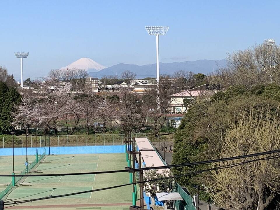 三ッ沢公園周辺からの富士山です(3月25日)の写真