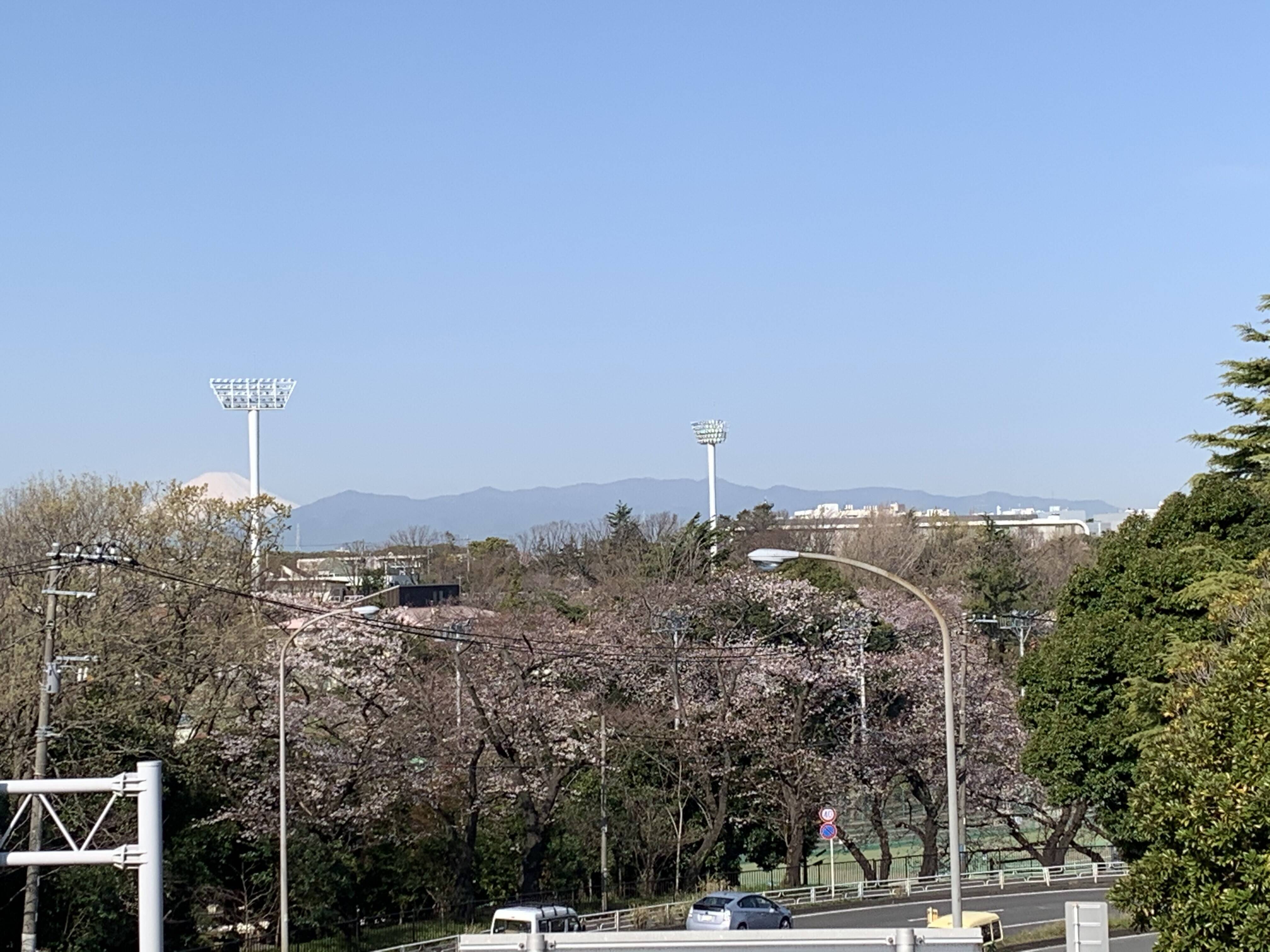 三ッ沢公園周辺からの富士山です（3月26日）の写真