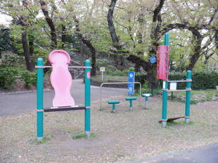 トリムコースをご存知ですか？