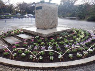 冬の花植え～平沼像花壇