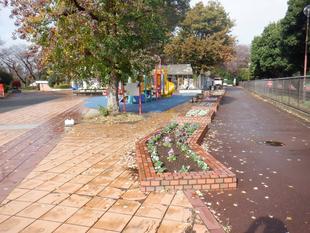 冬の花植え～レンガ花壇