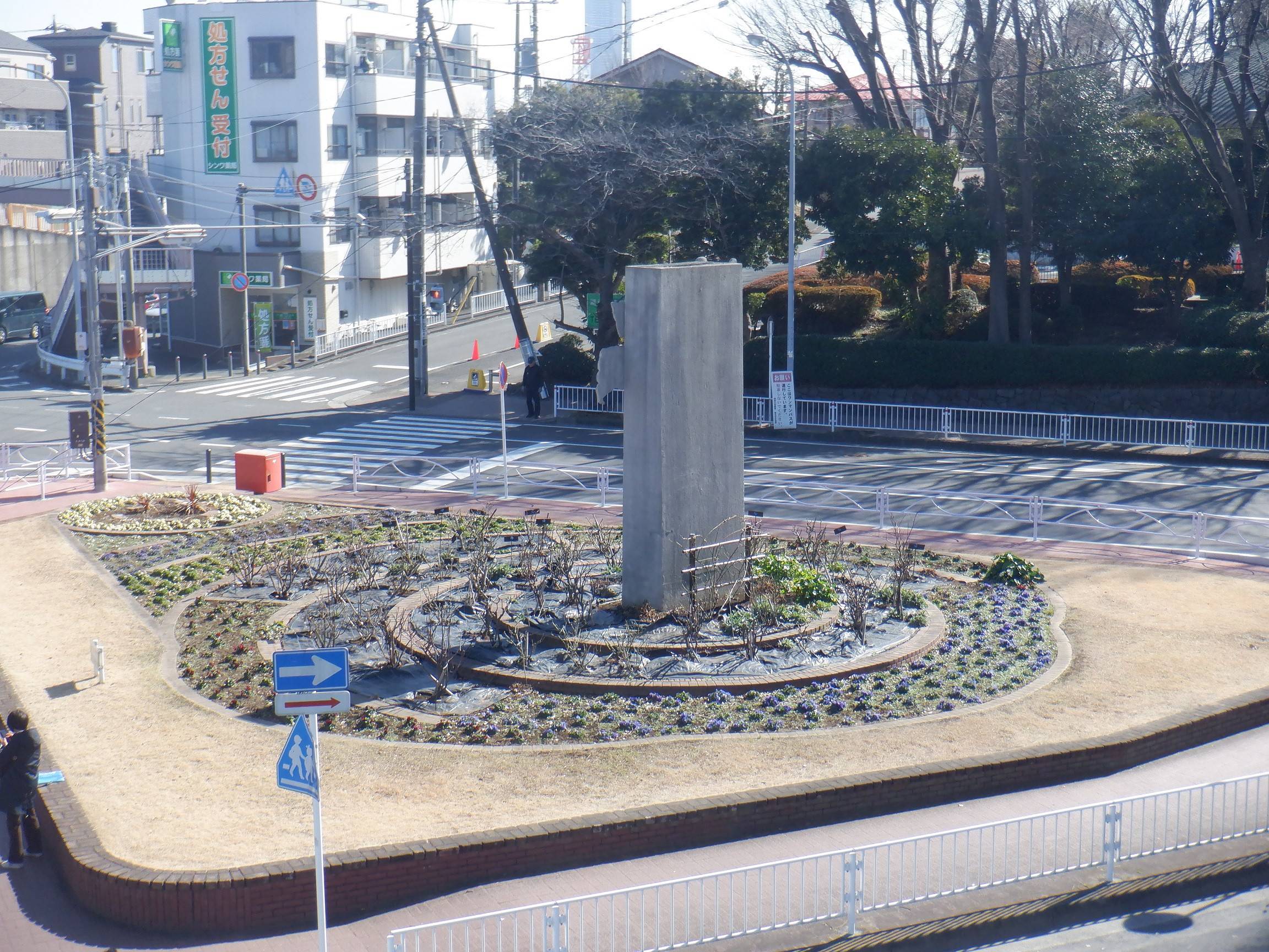 バラの冬景色 vol.1 (ロータリー花壇)の写真