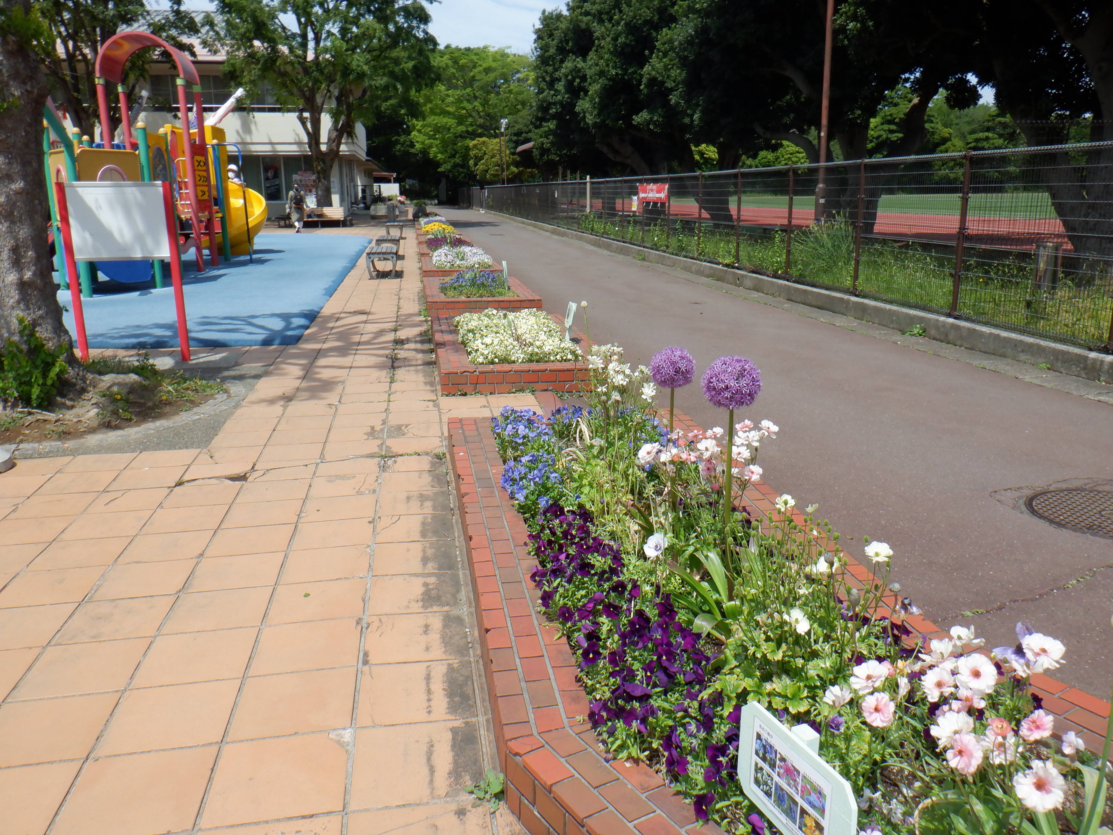 第一レスト前レンガ花壇の写真