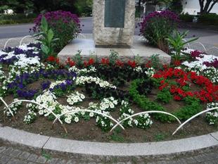 平沼像花壇の五輪マークが見ごろとなりました!