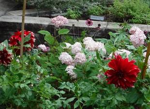 第三レストハウス新花壇