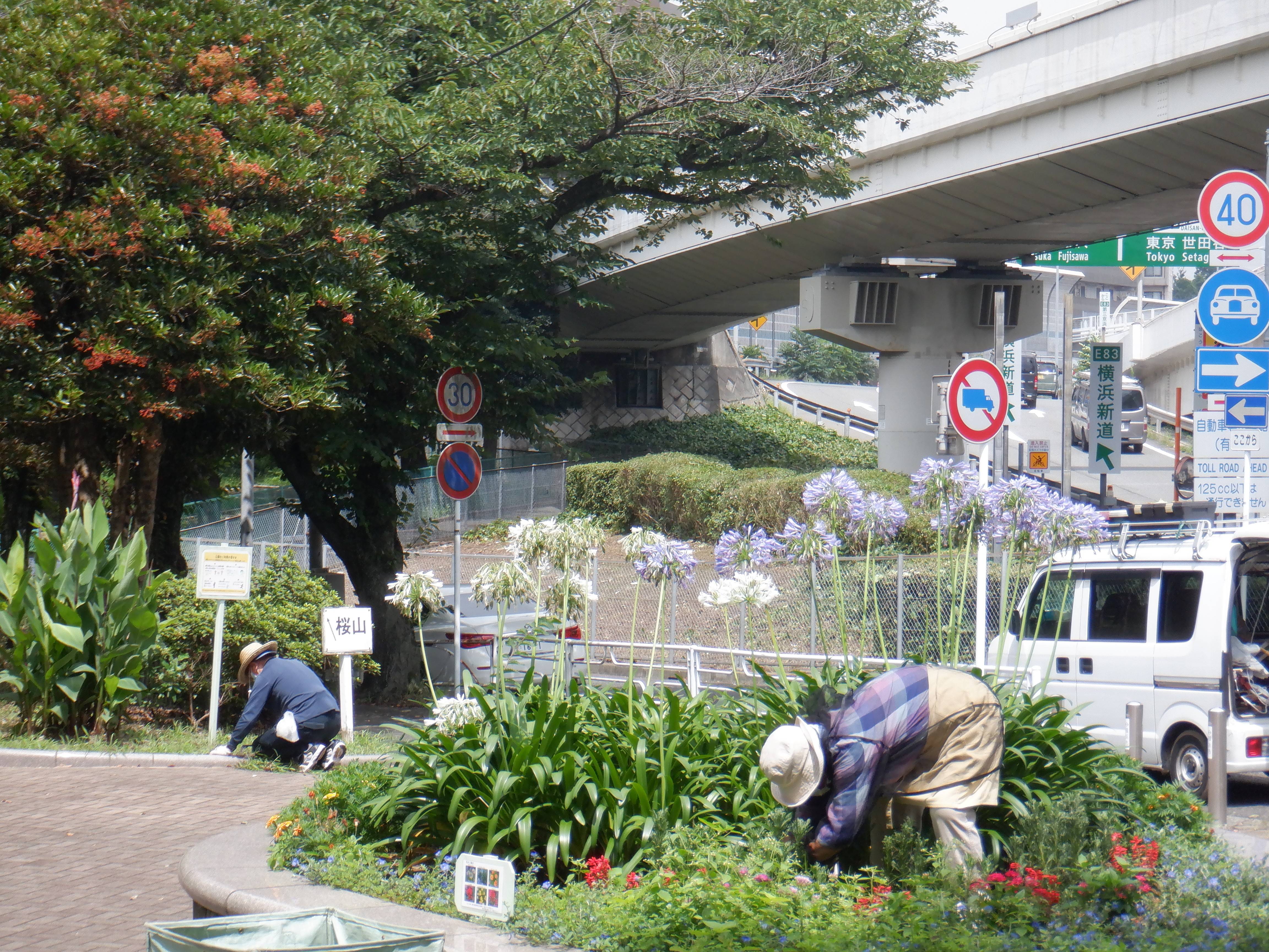 近隣団体ボランティアの方々による除草作業が行われました~vol.2の写真