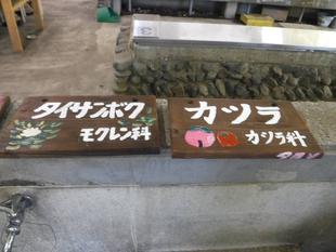 樹名板(木の名札)づくり