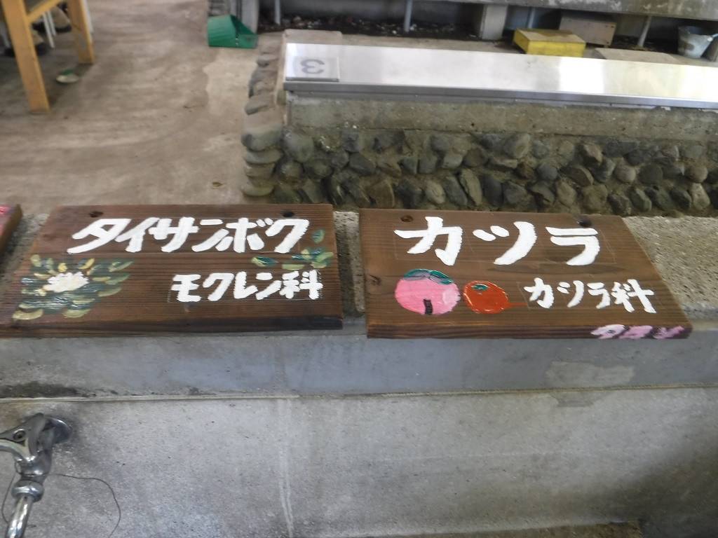 樹名板(木の名札)づくりの写真