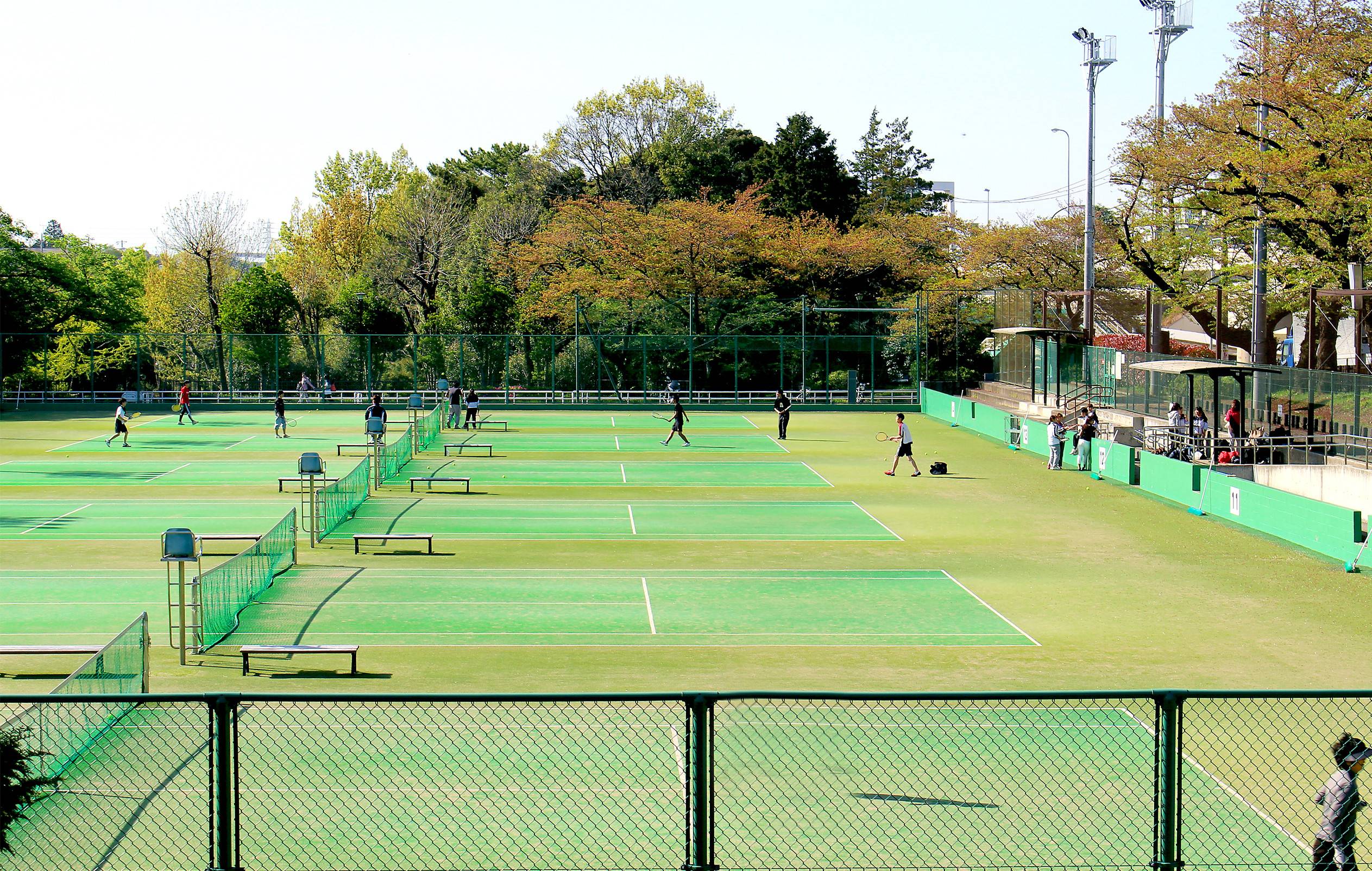 三ツ沢公園公式サイト 公益財団法人 横浜市緑の協会